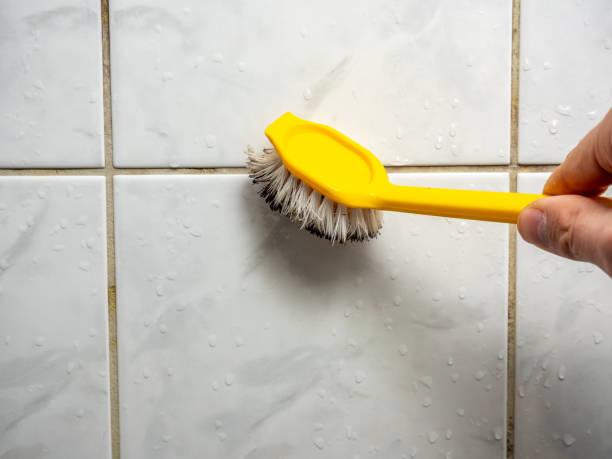 Best Mold Testing  in Deenwood, GA