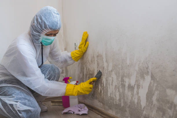 Crawl Space Mold Removal in Deenwood, GA